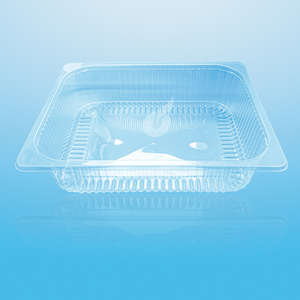 MAP-Schale 1/2 Gastro